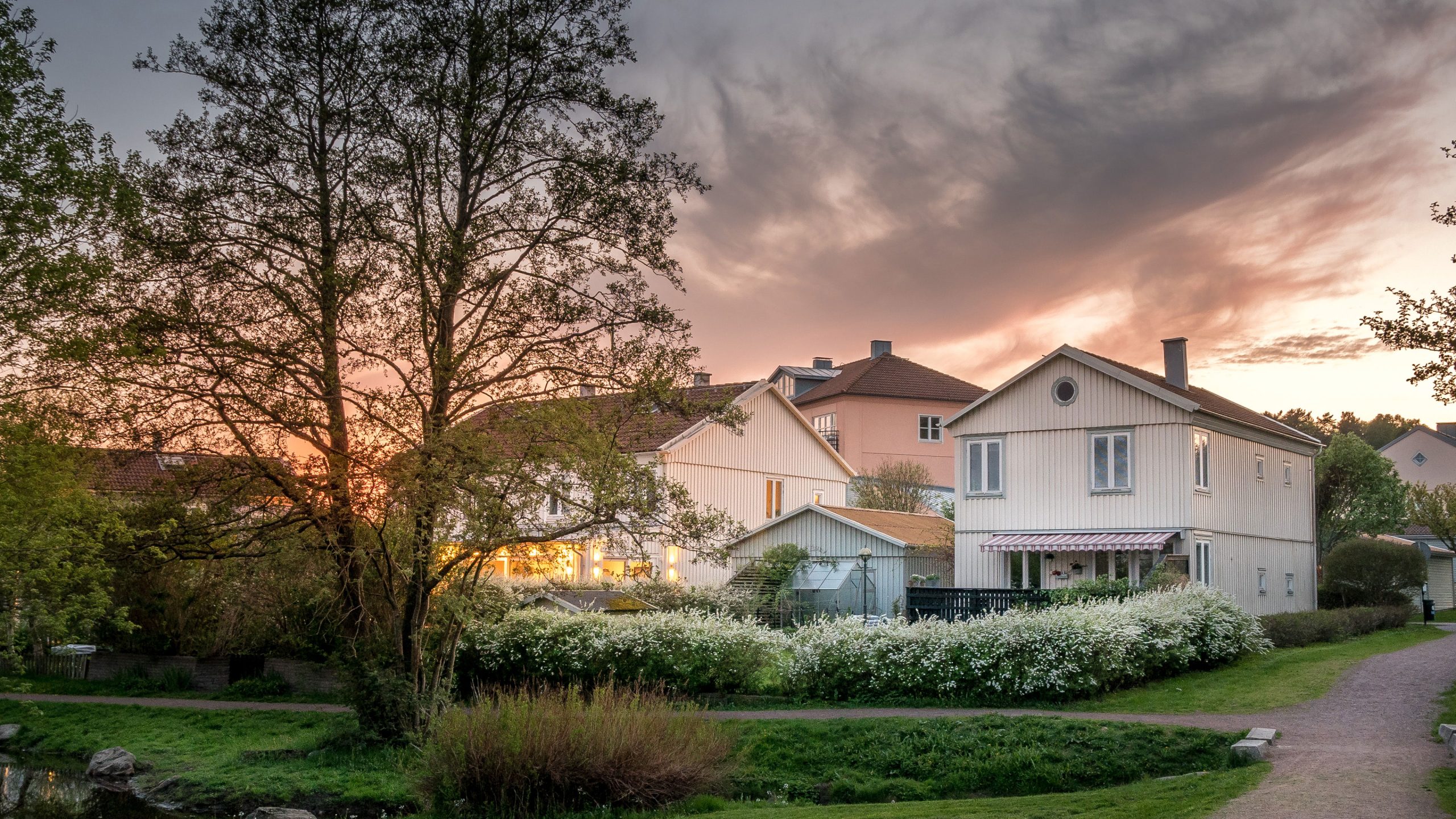 Arjo-Treprodukter-Olaf-Rudolfsen-Bildekarusell-3840-2160-03052025-3